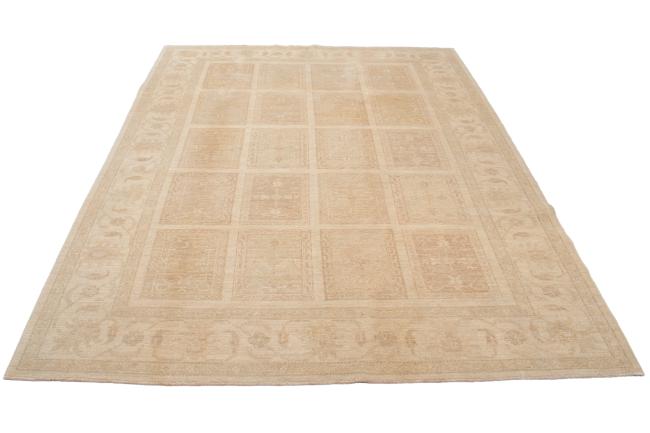 Ziegler Farahan - 2