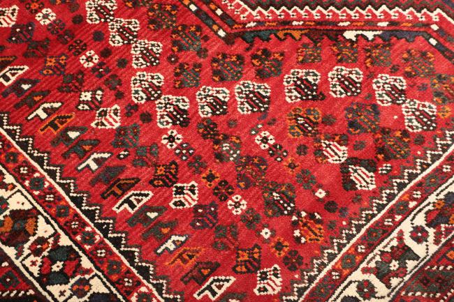 Shiraz - 5