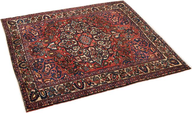 バクティアリ オールド - 1