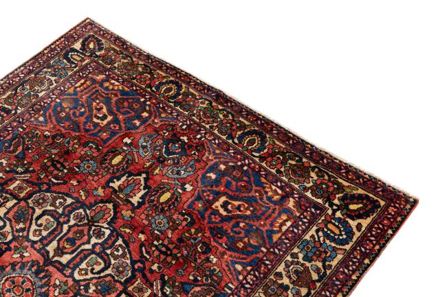 バクティアリ オールド - 3