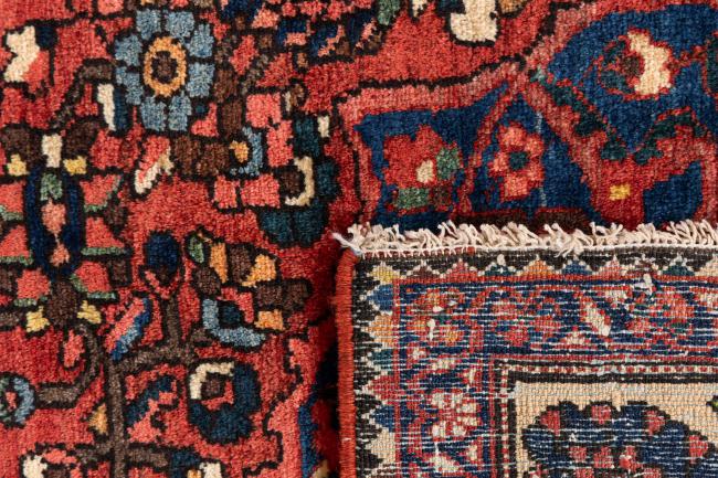 バクティアリ オールド - 5