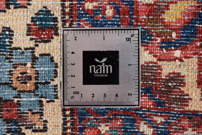 バクティアリ オールド - 7