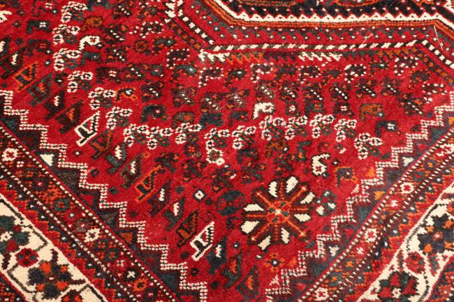 Shiraz - 5