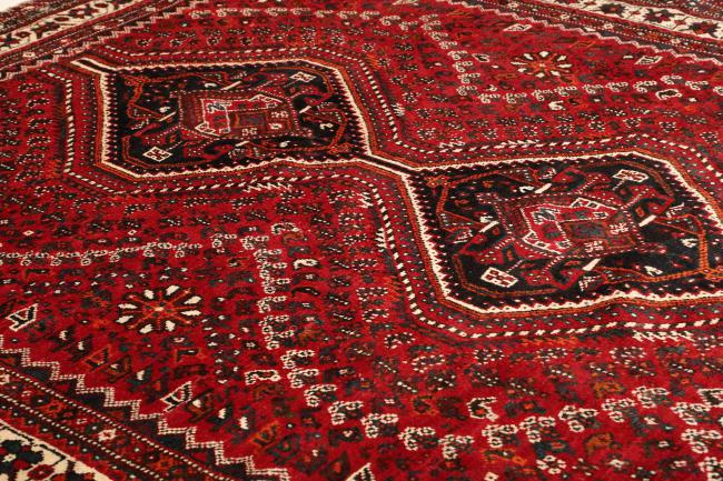 Shiraz - 6