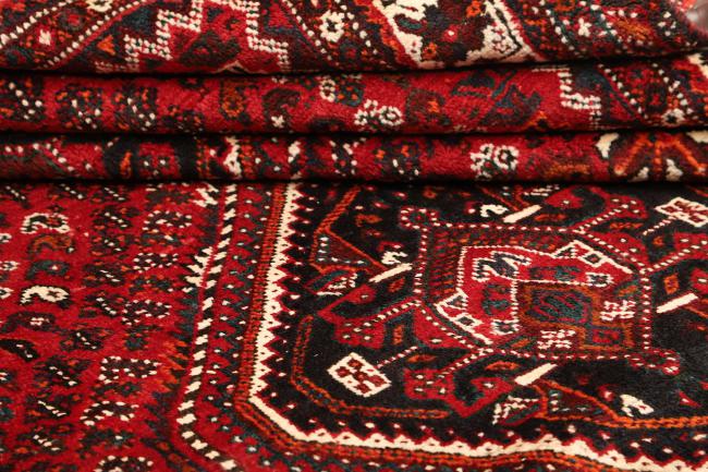 Shiraz - 9