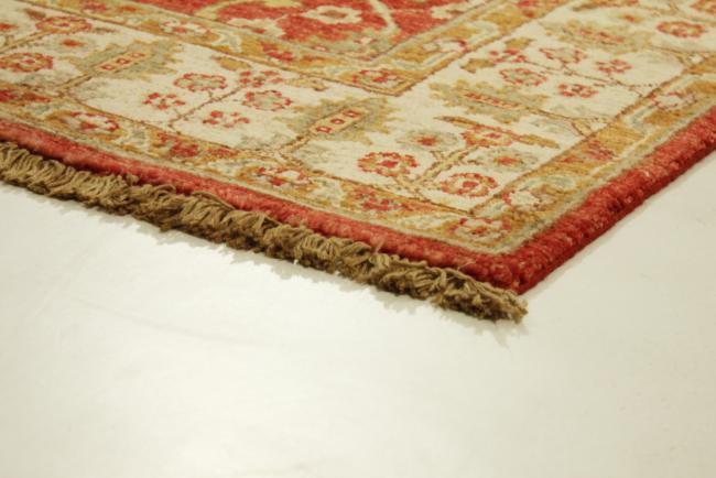 Ziegler Farahan - 3