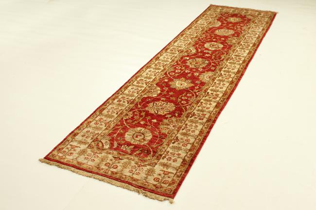 Ziegler Farahan - 4