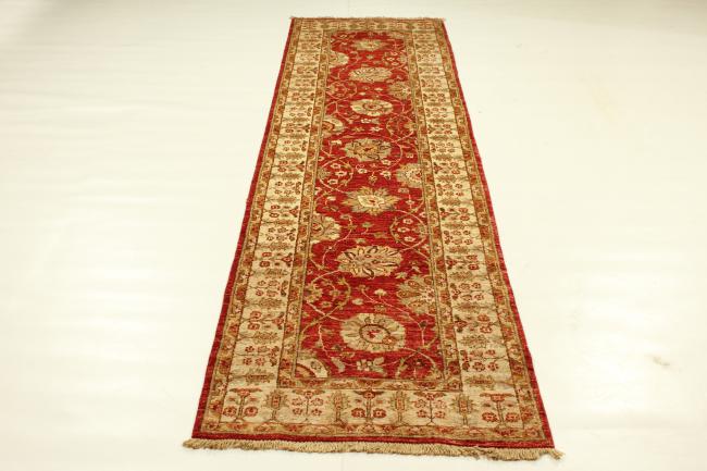 Ziegler Farahan - 5