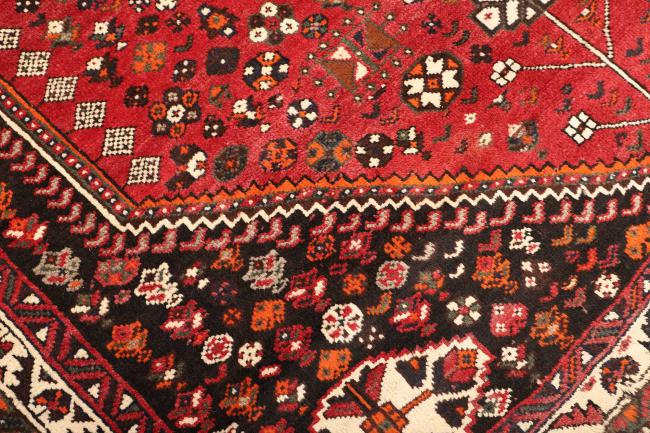 Shiraz - 5