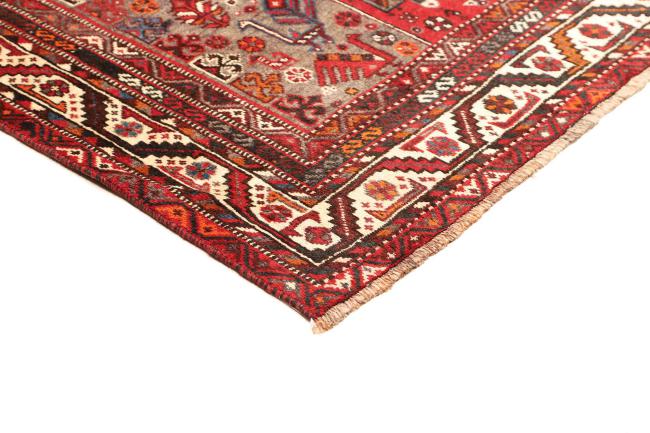 Shiraz - 4
