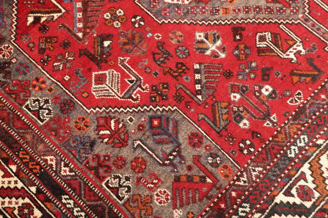 Shiraz - 5