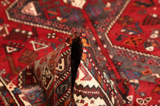 Shiraz - 8