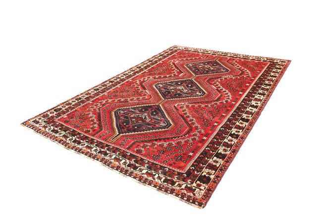 Shiraz - 1