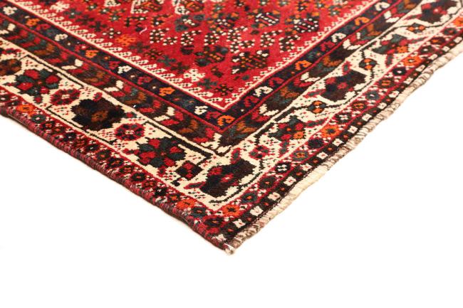 Shiraz - 4