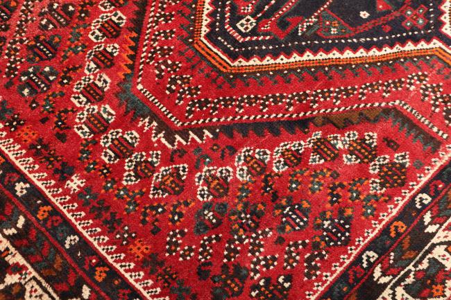 Shiraz - 5