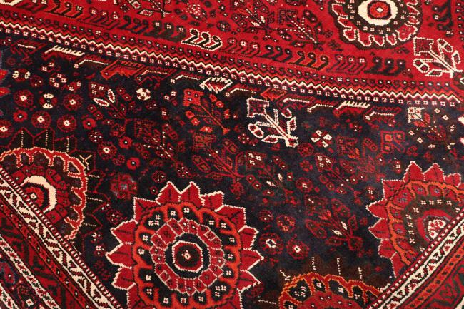 Shiraz - 5
