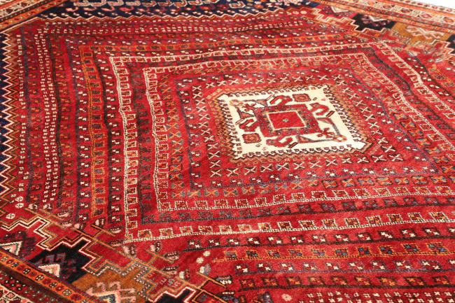 Shiraz - 6