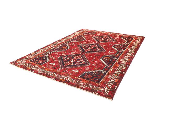 Shiraz - 1