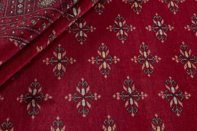 Pakistański Buchara 3ply - 2