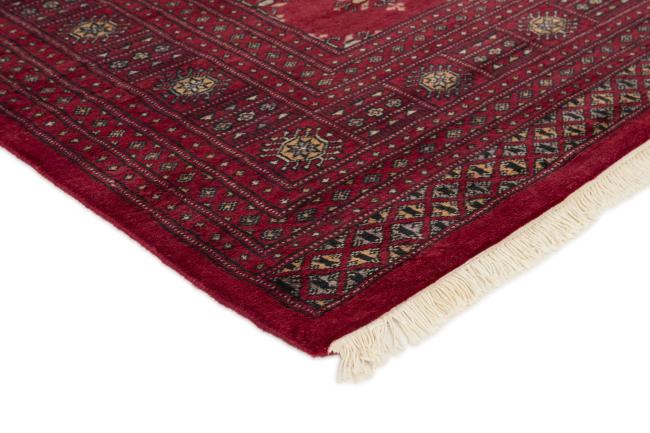 Pakistański Buchara 3ply - 3