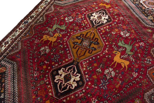Shiraz - 4