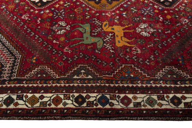 Shiraz - 6