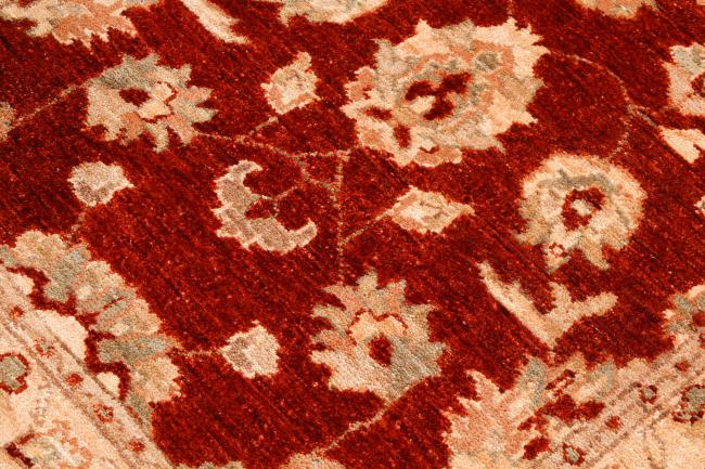 Ziegler Farahan - 4