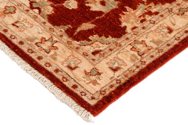 Ziegler Farahan - 5