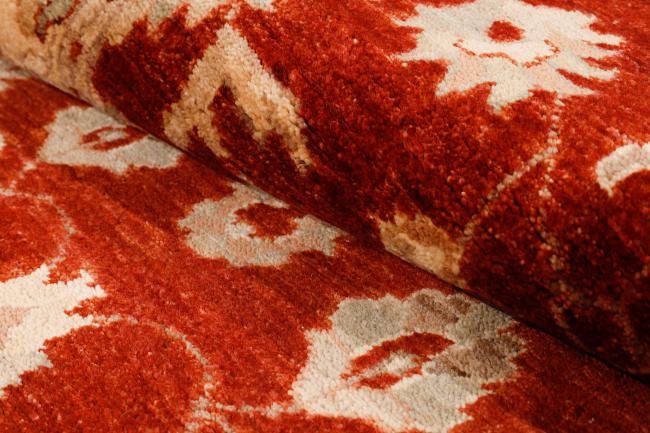 Ziegler Farahan - 8