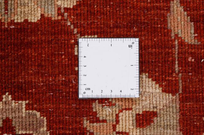Ziegler Farahan - 10