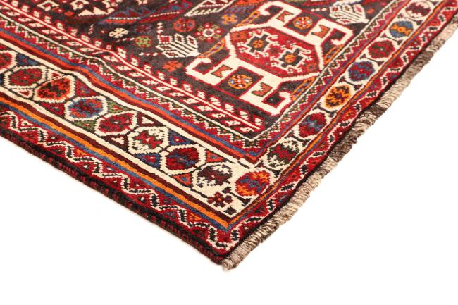 Shiraz - 4
