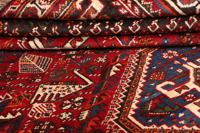 Shiraz - 8