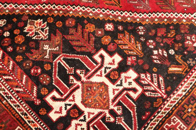 Shiraz - 5