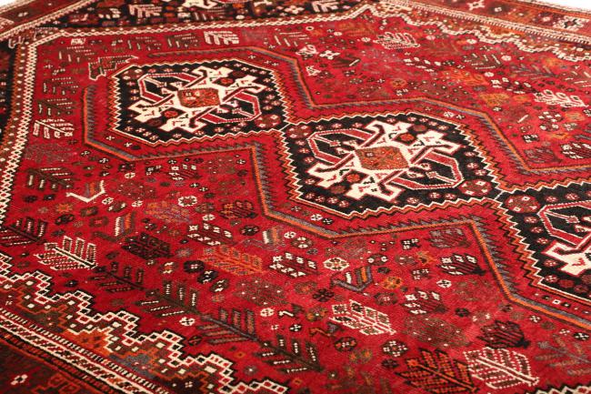 Shiraz - 6