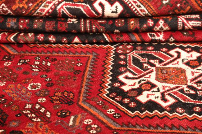 Shiraz - 9