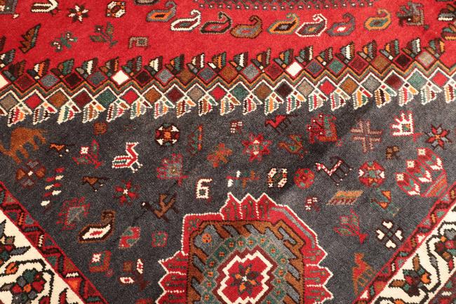 Shiraz - 5