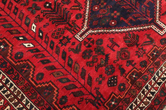 Shiraz - 5