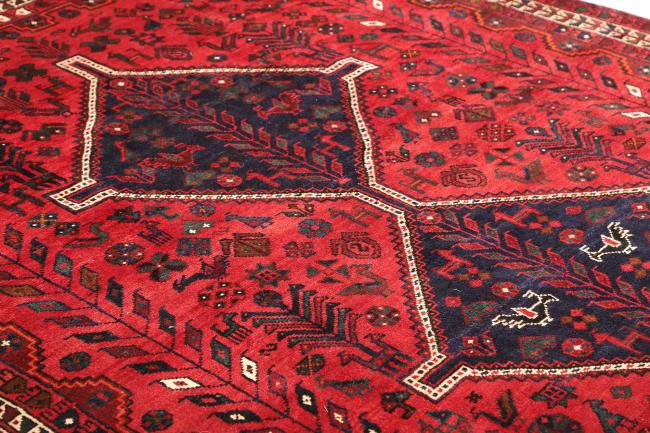 Shiraz - 6