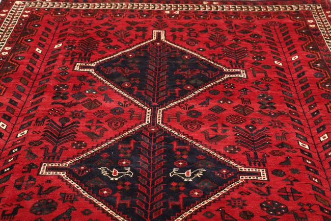 Shiraz - 7