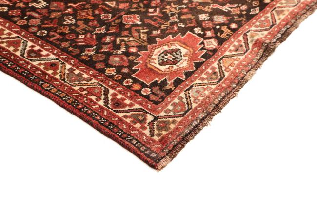 Shiraz - 4
