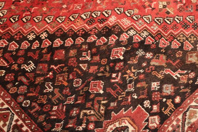 Shiraz - 5