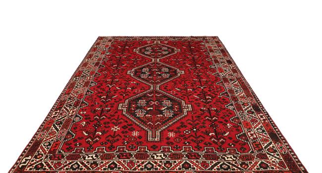 Shiraz - 3