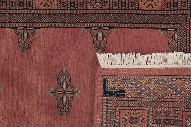 Pakistan Buchara 2ply - 1