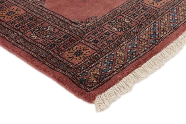 Pakistan Buchara 2ply - 3