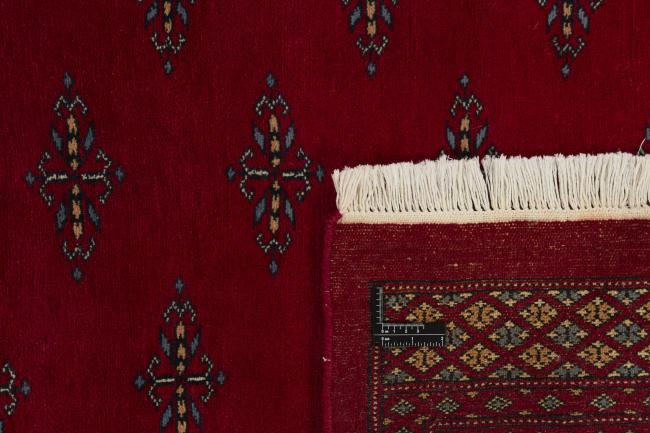 Pakistański Buchara 3ply - 1