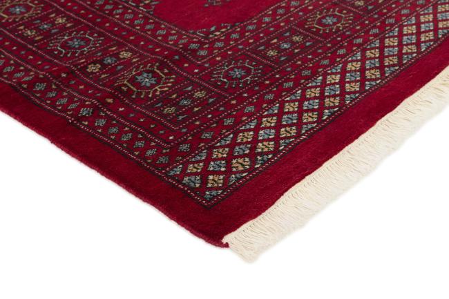 Pakistański Buchara 3ply - 3