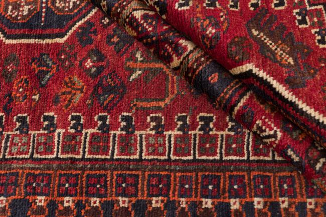 Shiraz - 8