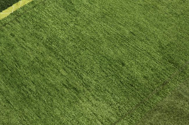 ギャッベ ペルシャ - 3