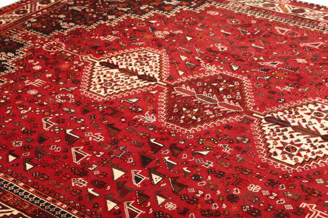 Shiraz - 6