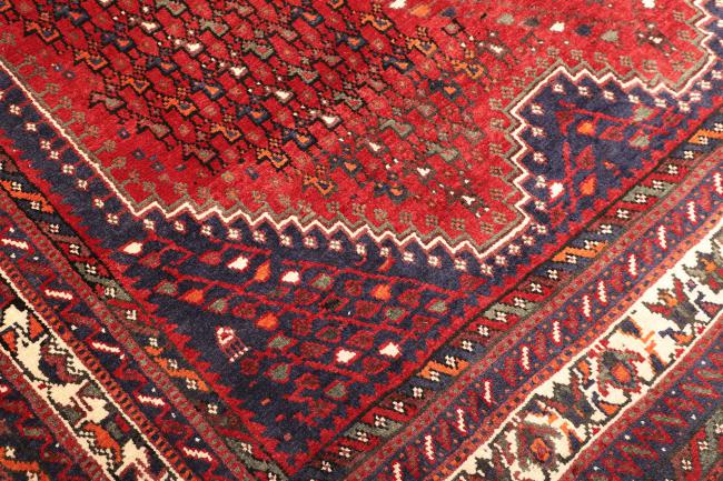 Shiraz - 5